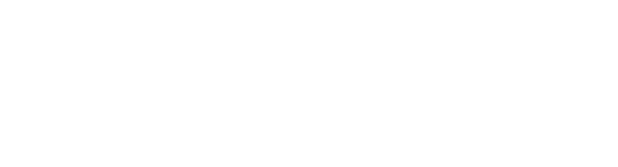 imagen logo balancer platinum