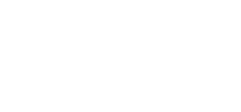 imagen logo pahi